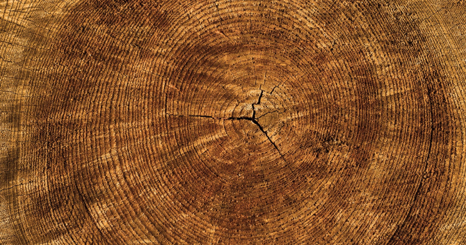 Wir sind aktiv in den folgenden 6 Sektoren