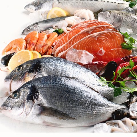 SIPPO Tunisia und BSO GIPP