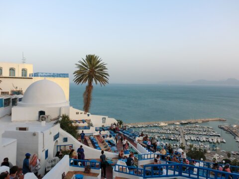 TRIC network in Tunisia
