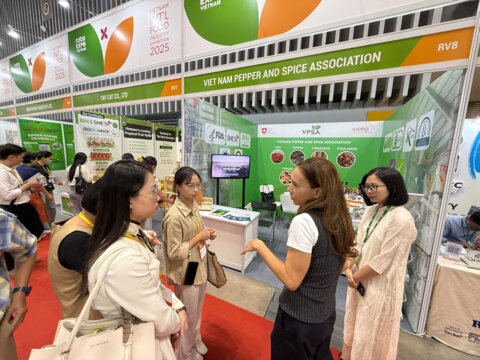 Vietnam’s Path to Stronger Export Promotion System: Insights from SIPPO Vietnam